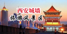 欧美女插进中国陕西-西安城墙旅游风景区