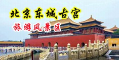 操逼操美女中国北京-东城古宫旅游风景区